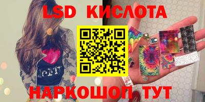 шишки Дмитров