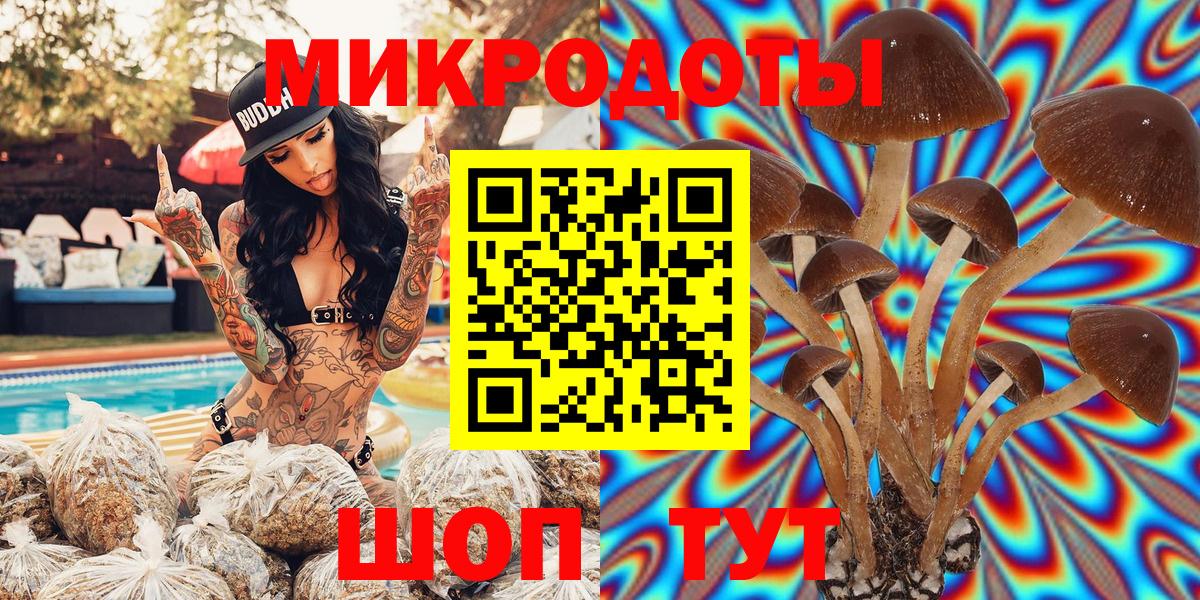 Галлюциногенные грибы Magic Shrooms  Вход с VPN  Галлюциногенные грибы Cubensis  Губкинский 